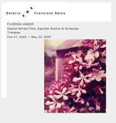 Cartaz de Flowing Under